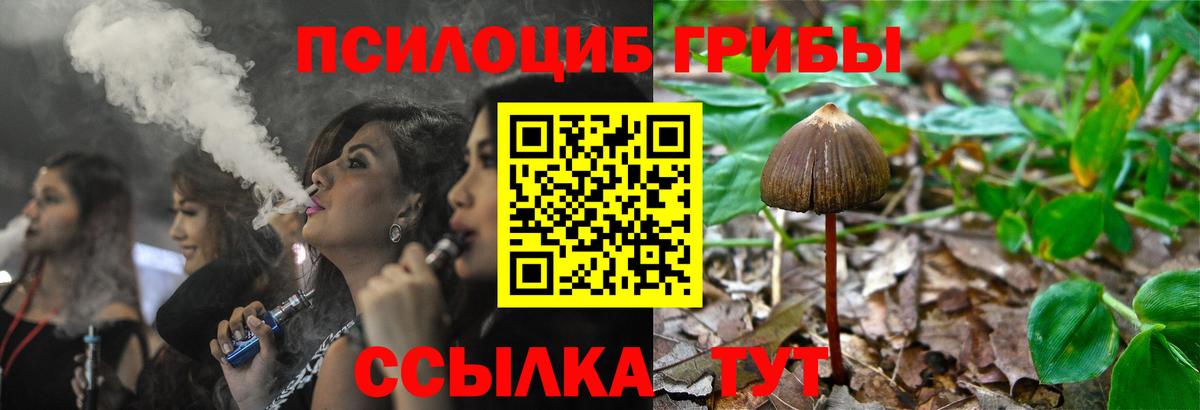 Галлюциногенные грибы Psilocybine cubensis  Вход с VPN  Галлюциногенные грибы MAGIC MUSHROOMS  Моршанск 